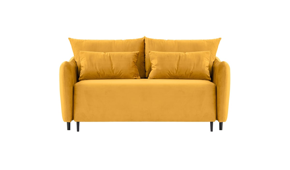 Zoya 2 seater Sofa Bed