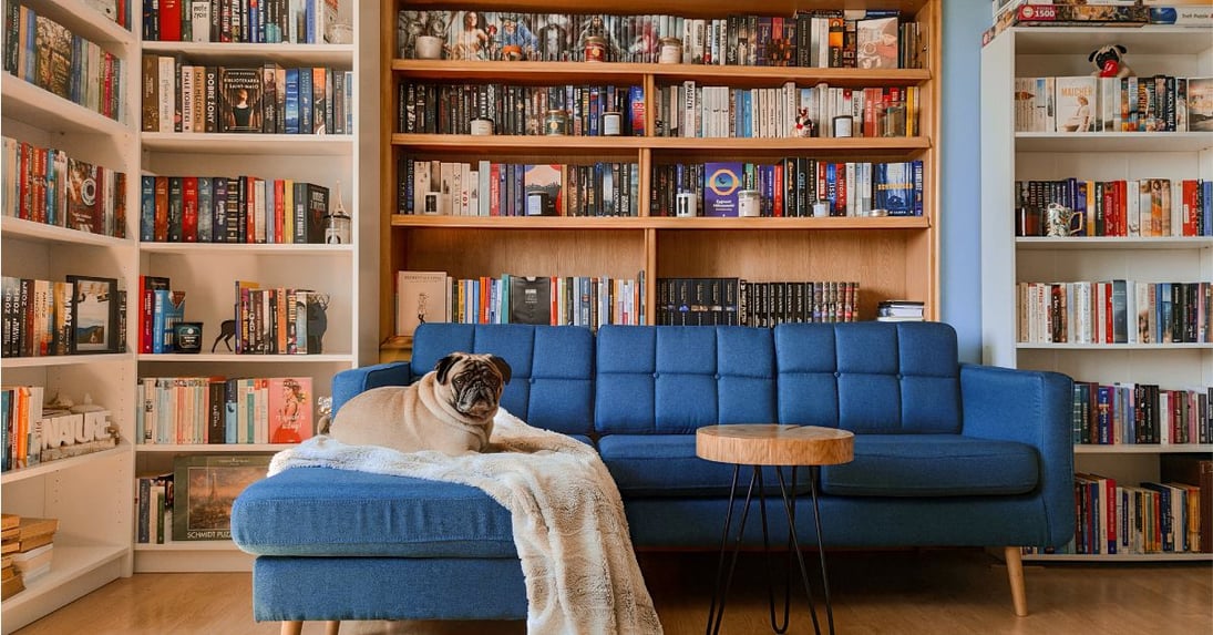 The Sofa as an Expression of Style: Choosing the Right Shape and Color