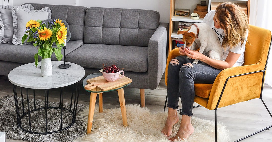 Sofas and armchairs for homes with pets. Which furniture model and resistant upholstery fabric to choose?