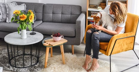 Sofas and armchairs for homes with pets. Which furniture model and resistant upholstery fabric to choose?