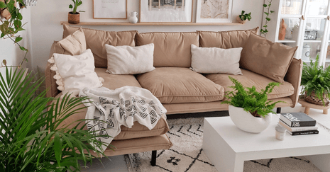 Biophilic design - bring nature into the interior