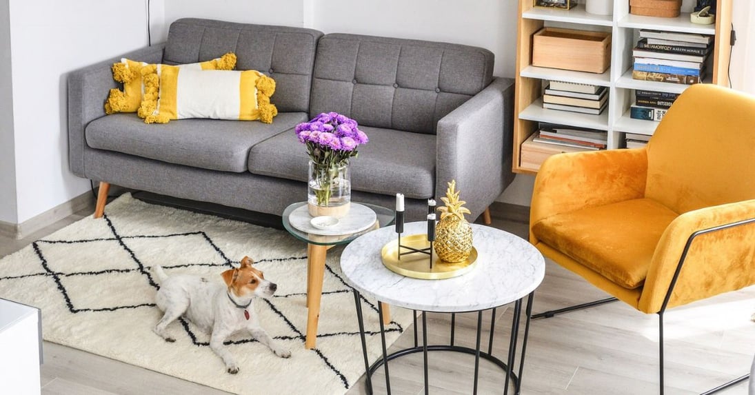 Sofas and armchairs on legs – pros and cons. Is it worth choosing this type of model for your living room?