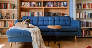 Choosing the Right Sofa for a Pet-Friendly Home
